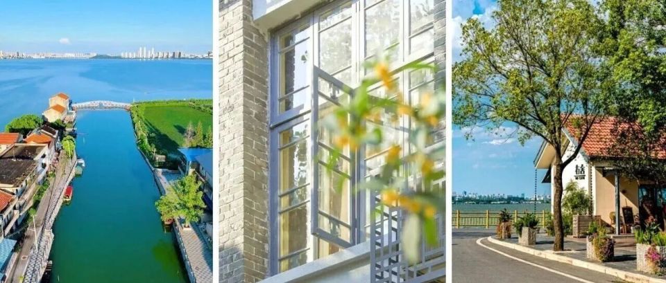 bt, inews, 统筹丨郑锋 bt, inews, 统筹丨郑锋