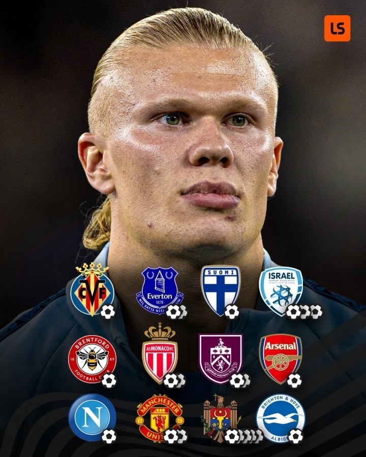 队友组织制 队友组织制